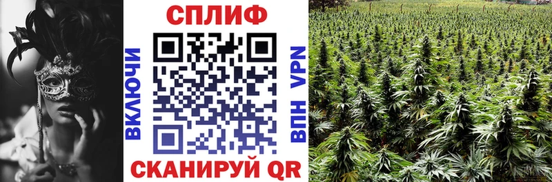 Что такое Салават ГАШ  Каннабис  Галлюциногенные грибы  Меф 