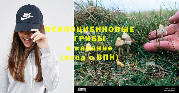 кристаллы Горняк