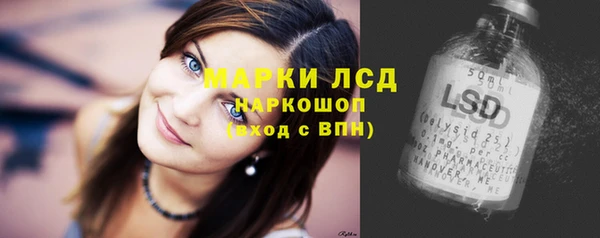 СК Горнозаводск