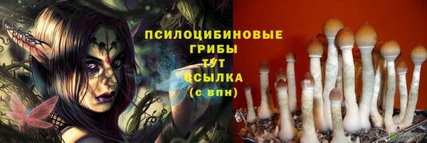 СК Горнозаводск