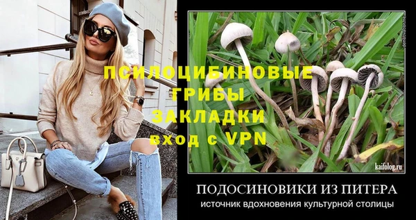 COCAINE Горно-Алтайск