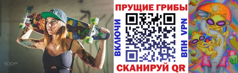 Псилоцибиновые грибы Psilocybine cubensis  Салават 